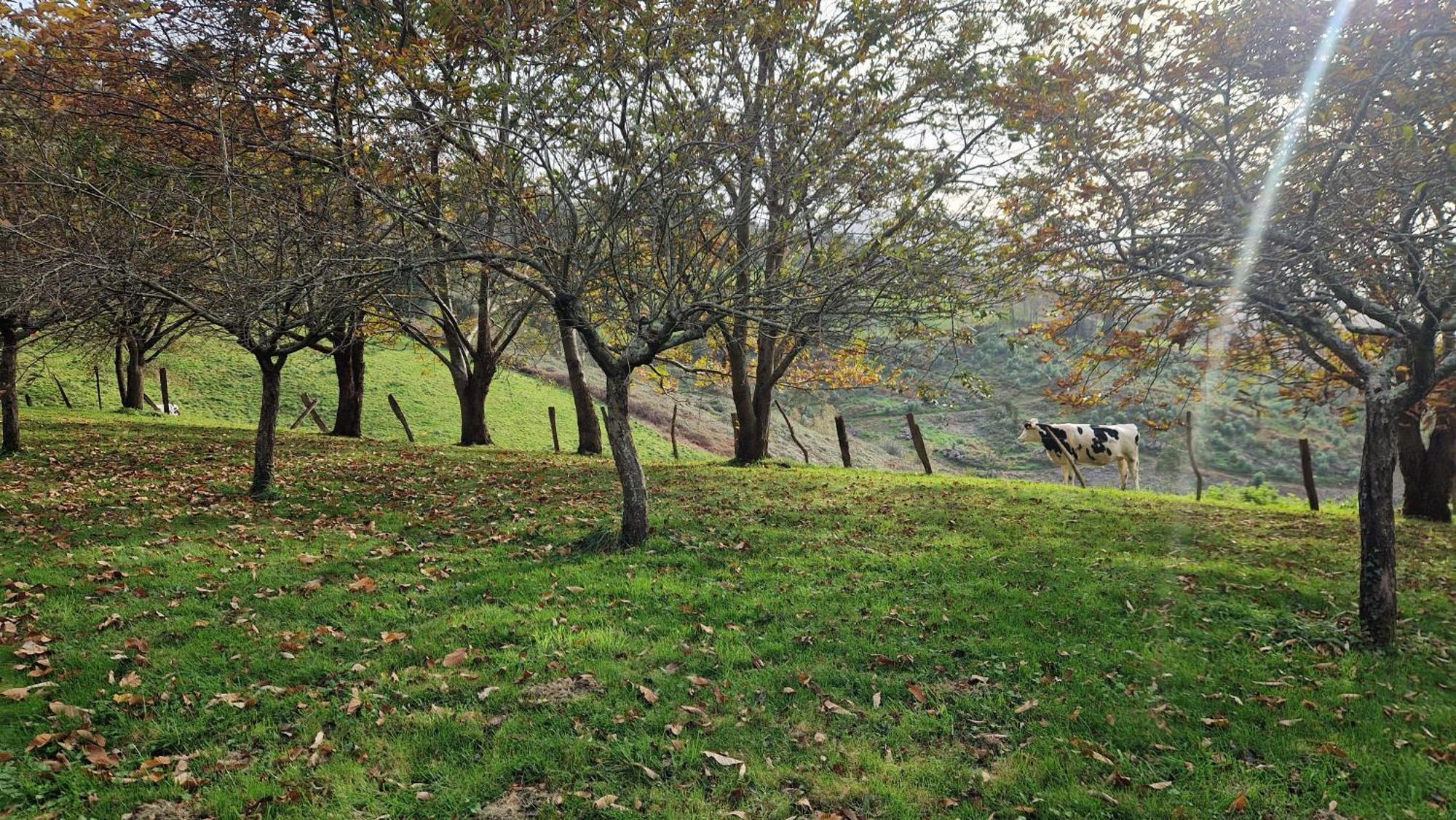 Casa Bezales En Ampuero Cantabria Exteriér fotografie